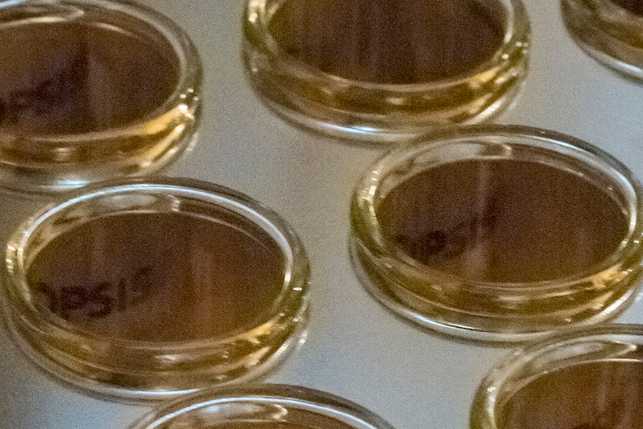 i-KjelROC-Autosampler-4